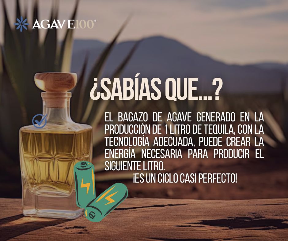 Agave100_mx's tweet photo. ¿Sabías que el bagazo del agave puede ser fuente de energía renovable?
Con sistemas de biomasa, las destilerías reducen su uso de combustibles fósiles y optimizan costos.
Esto es #economíacircular en acción: nada se desperdicia, todo genera valor. https://t.co/GzsnJjAfyY