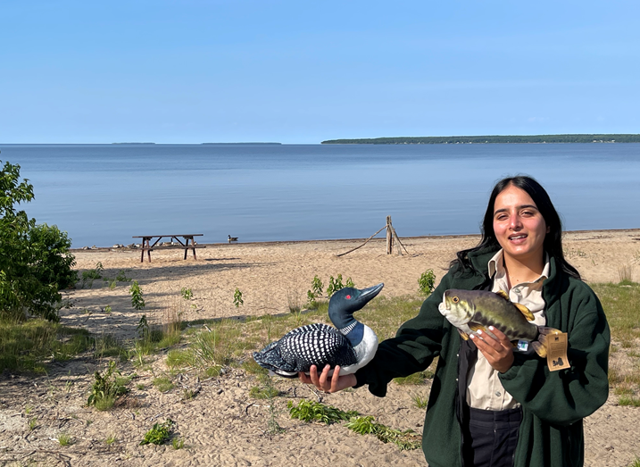 🦆🐟 Say Hello to Our Newest Stuffed Animal Friends!
Meet Loon and Bass—the latest additions to our cuddly Ontario Parks collection!

These soft plush pals are perfect for: 
✨ Snuggles
🎁 gifts
🏕️ Wildlife-themed décor
