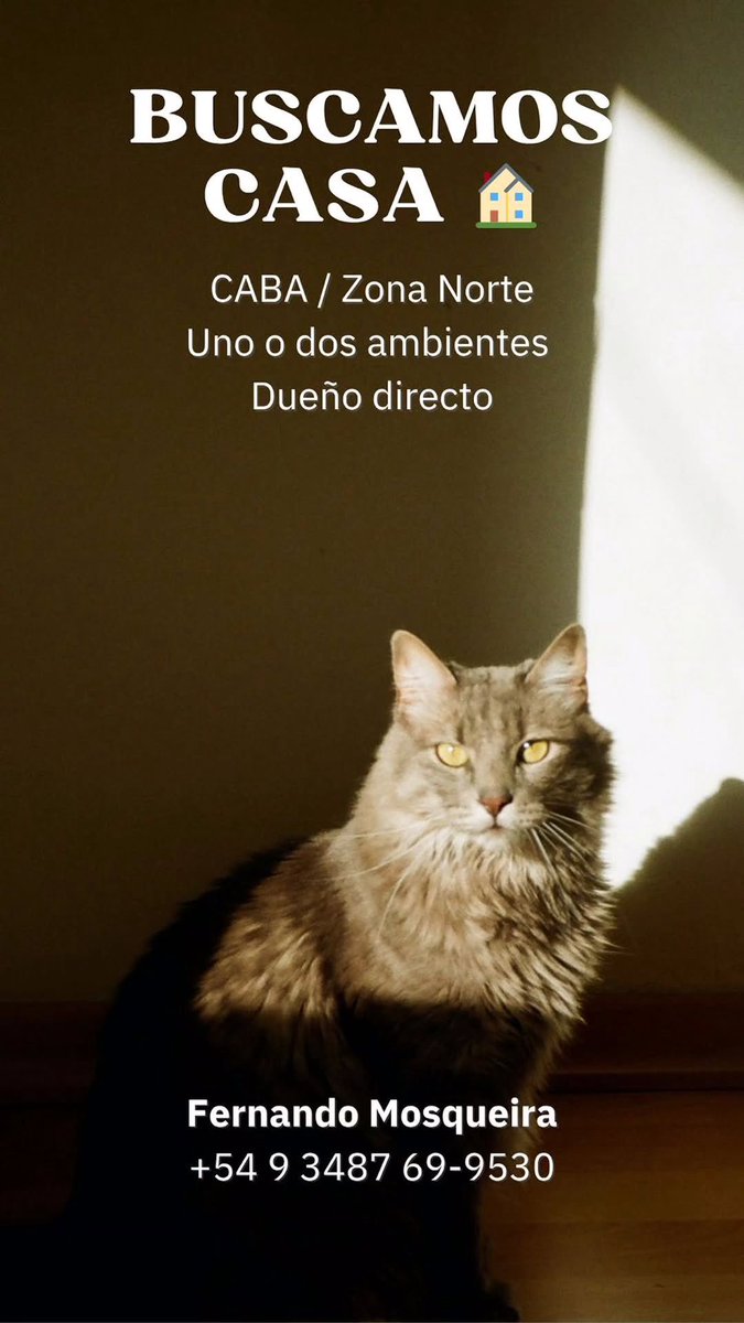 Gente, ahora si: estoy oficialmente en búsqueda de departamento para mi y para Neru. Tengo dos meses hasta la finalización del contrato de donde estoy hoy. 
Si me ayudan con un RT, les voy a estar eternamente agradecido ❤️ 🏠 🐈‍⬛ 

￼