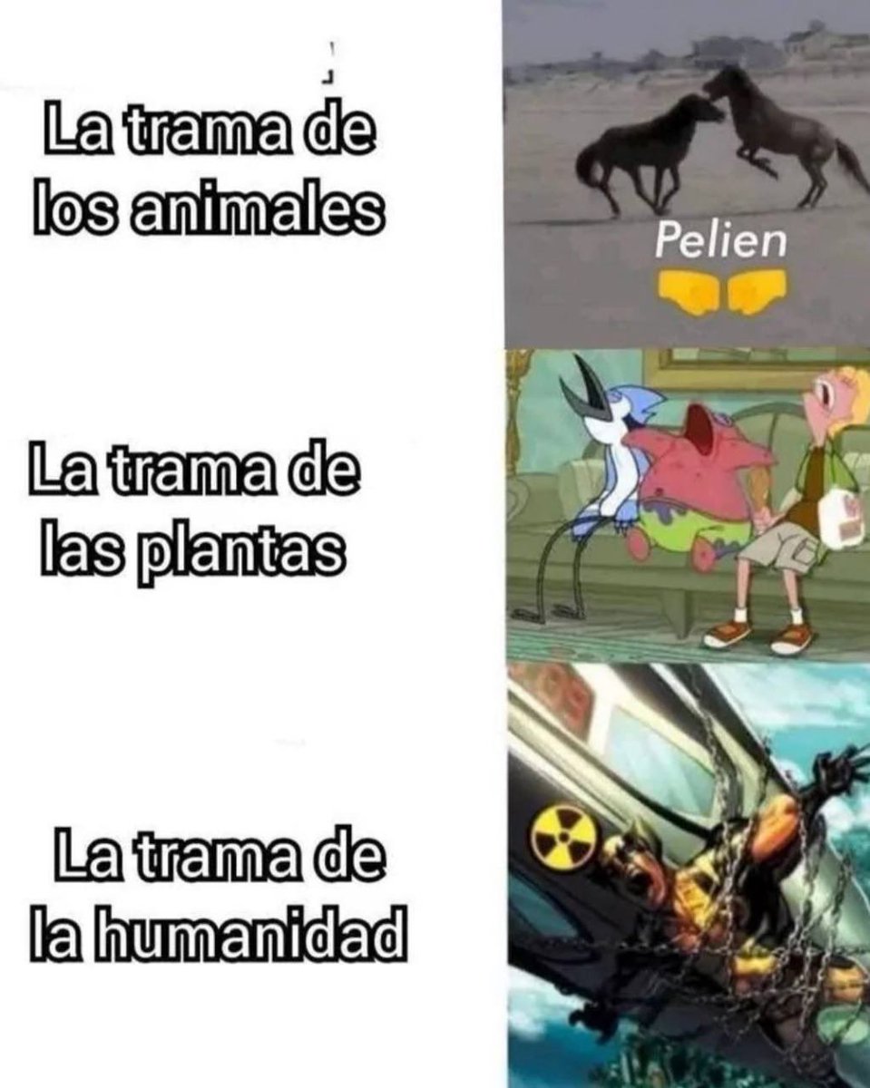 resumen del planeta