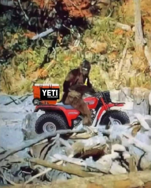 Scott A. Rowan found him packing a Yeti