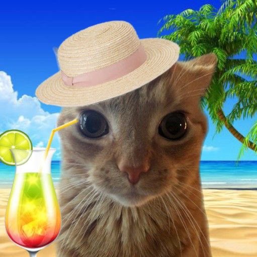 eat5G's tweet image. 