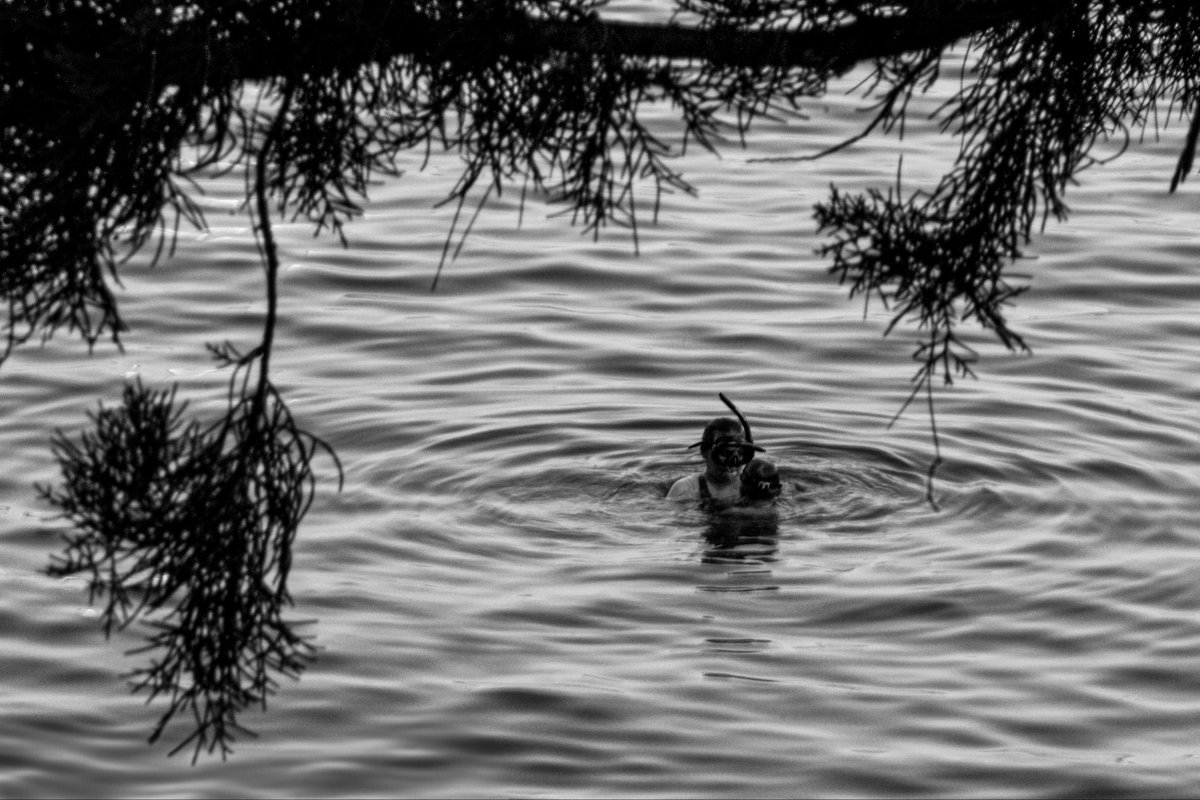 Gn everyone!

First Dive

5/5
2 xtz

objkt.com/tokens/KT1WuWj…