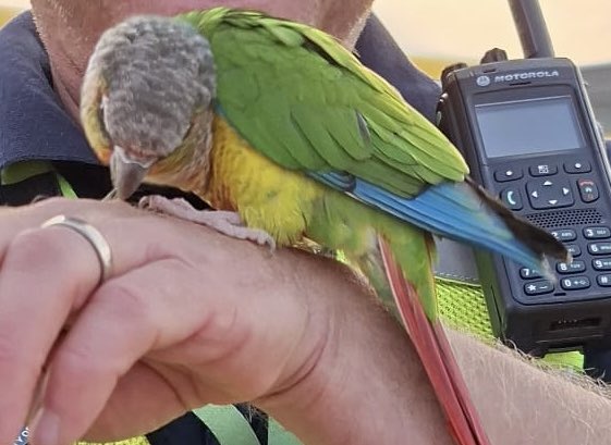 Dublin Airport tweet media