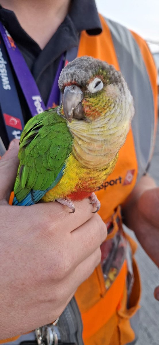 Dublin Airport tweet media