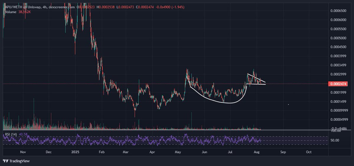 I'd tell u what $apu will do next but u wudnt belieb it