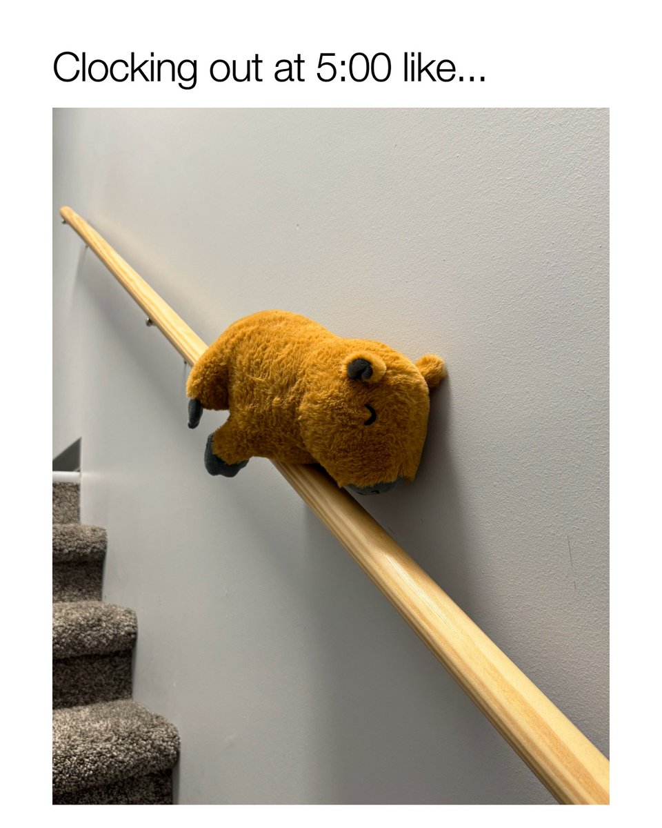 SendAFriend ✨ tweet media