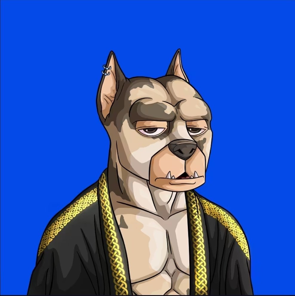 If you are on <a href="/apecoin/">ApeCoin</a>, but don't hold an <a href="/ApeAlphaDogs/">ALPHA DOGS ON APE</a> , are you REALLY on APECOIN?

JOIN THE PACK, OR GET LEFT BEHIND. 🐶💪💪💪

We are the ALPHA. 

DOGS RULE $APE.

We are #alphadogs 🐾🐾🐾

Every other collection is BETA, and has been put ON NOTICE. ⚠️