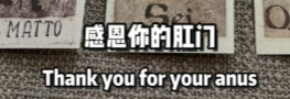 圆圆 tweet media