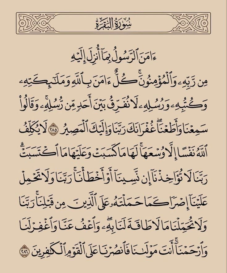 AdelAyman0's tweet photo. آيتان في اخر اليوم... ويكفيك الله كل شئ . https://t.co/yi48UpxHAJ