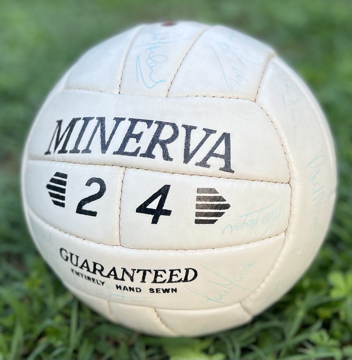 Minerva 24