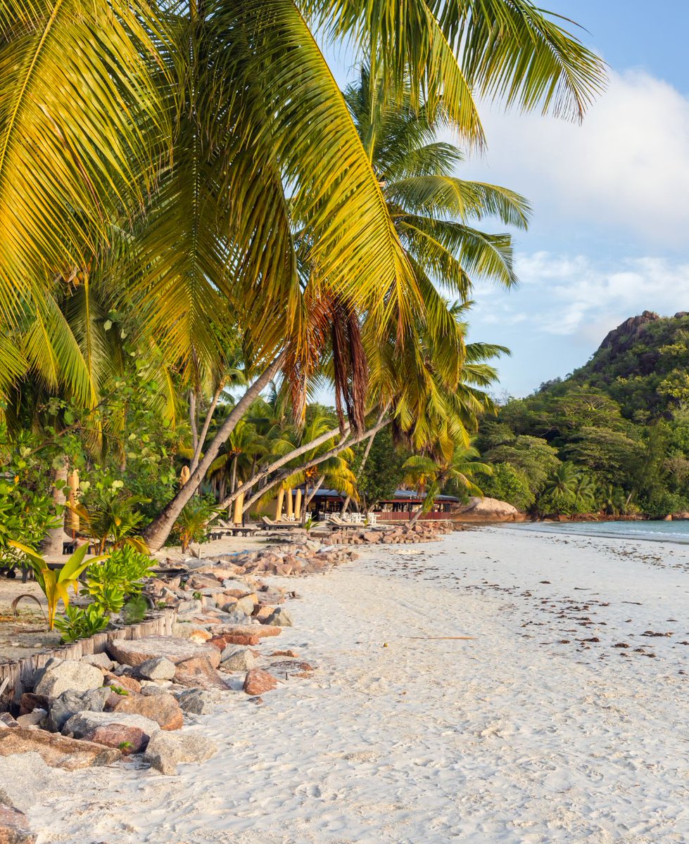 SoEarthen's tweet image. Cote D&apos;Or Beach, Praslin, Seychelles  #PalmTrees #SunnyDay