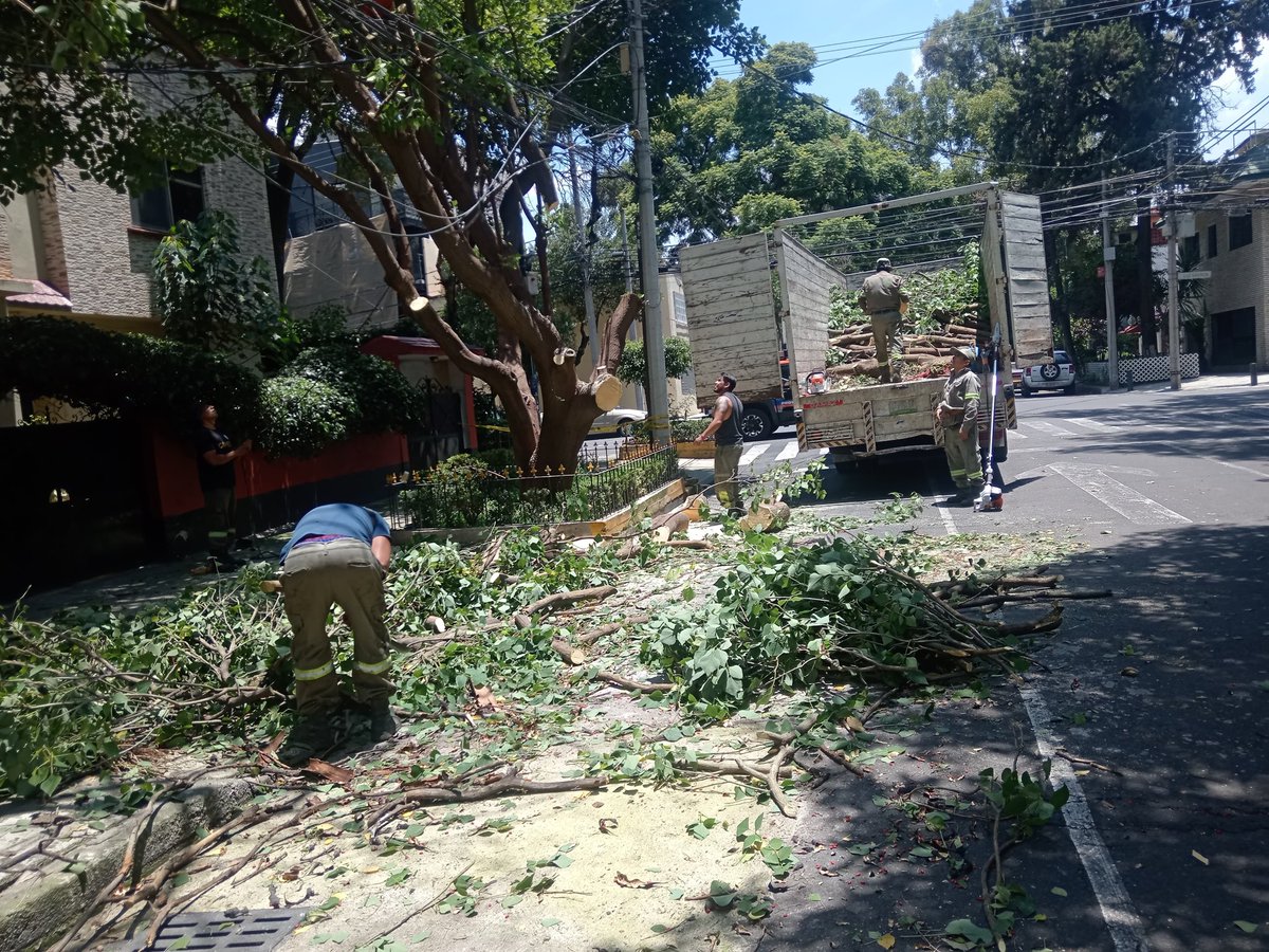 Personal de #DGSUBJ y #ProtecciónCivil360 retiró el brazo de un árbol cuarteado que representaba un riesgo de caída en la calle Dr. Barragán y Luz Saviñón, colonia Narvarte Oriente.
Seguimos atentos.