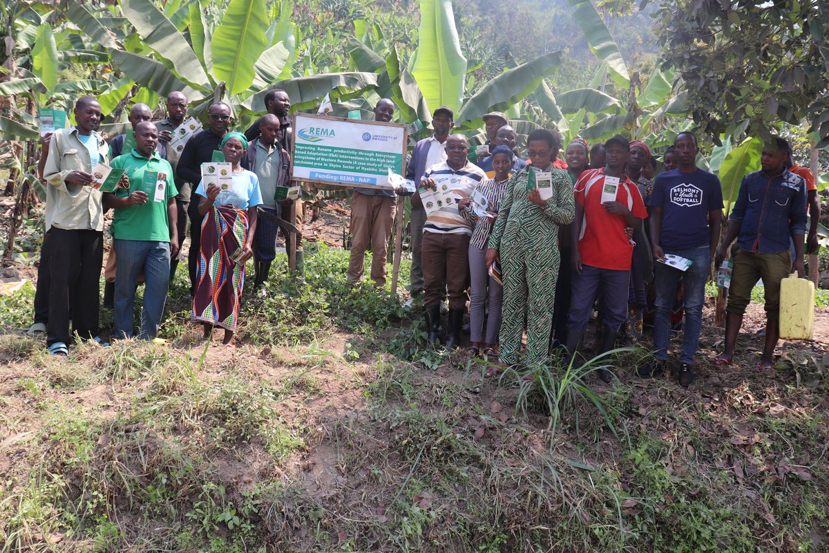 UR_CAFF's tweet photo. @UR_CAVM UR-CAVM researchers, with support from @REMA_Rwanda, are implementing a project to empower farmers in Nyabihu District through Farmer Field School (FFS) sessions — focusing on sustainable banana farming. 
#URCAVM #REMA #BananaFarming #Nyabihu" https://t.co/vXdefHJ1mC
