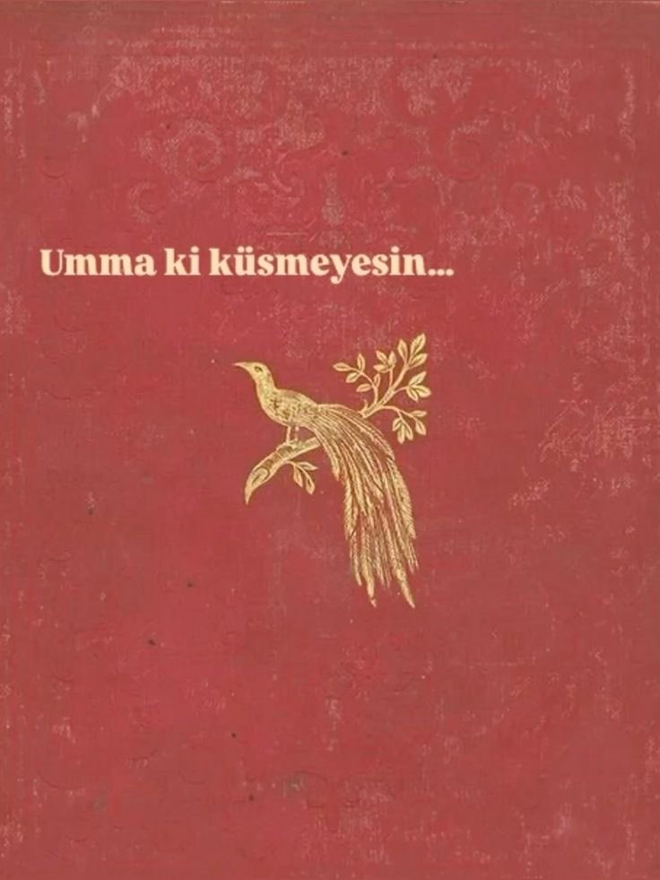 İsmet Özel (@guldesolar) on Twitter photo 