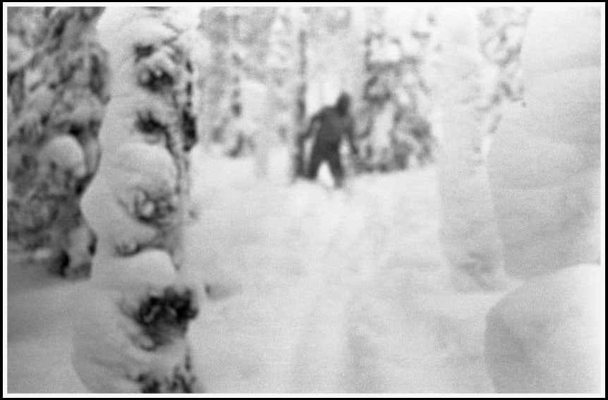 Last entry into one of the Dyatlov Pass victims diary, she stated “we now know snowmen are real”. Wonder if she was talking about the subject in this photo?