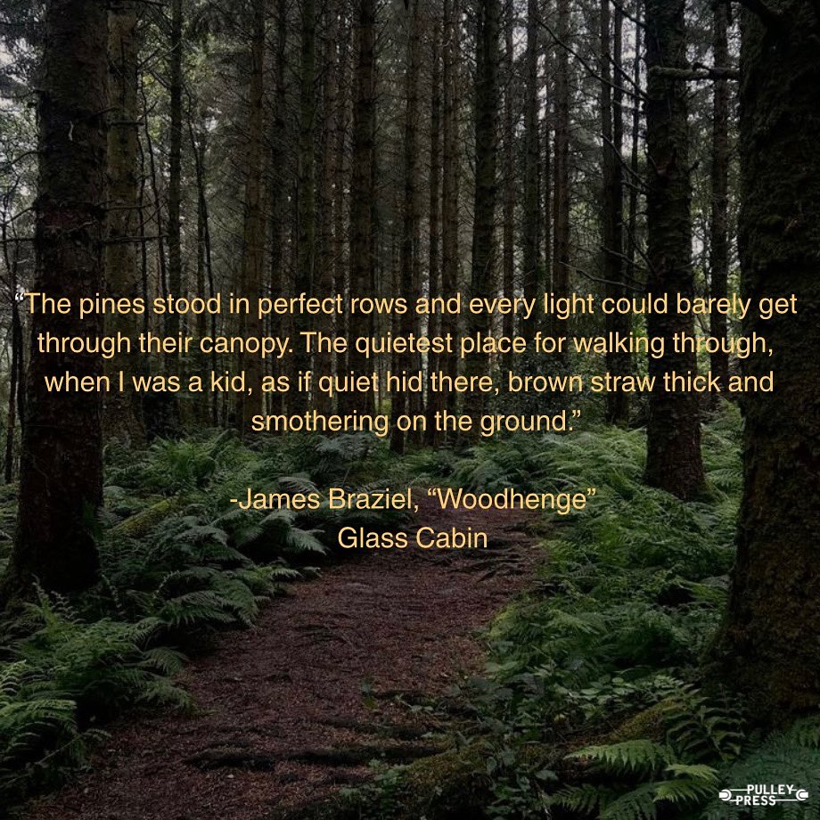 A few lines conjuring a peaceful image from Glass Cabin🌲

#poetry #nature #booktok #write #forest #writer #fyp