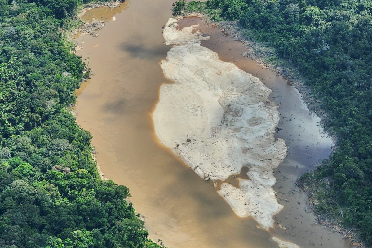 DefensoriaCol's tweet photo. 📍Mitú, Vaupés 

La Defensora del Pueblo, Iris Marín Ortiz, junto con @UEenColombia, @FcdsOrg, @ParquesColombia y @BrasilBogota,  realizó un sobrevuelo pasando por San José del Guaviare y el río Puré, en el Amazonas. Durante el recorrido, se evidenció la grave afectación ambiental causada por la minería ilegal, especialmente en zonas donde habitan pueblos indígenas en aislamiento voluntario.

Estas situaciones ya habían sido advertidas por la Defensoría en la Alerta Temprana 07-2024, que señala los riesgos que enfrentan las comunidades amazónicas por la presencia de grupos armados ilegales.

🤝 El objetivo de sumar esfuerzos nacionales e internacionales para proteger los derechos humanos, la autonomía de los pueblos indígenas y la biodiversidad de la Amazonía.