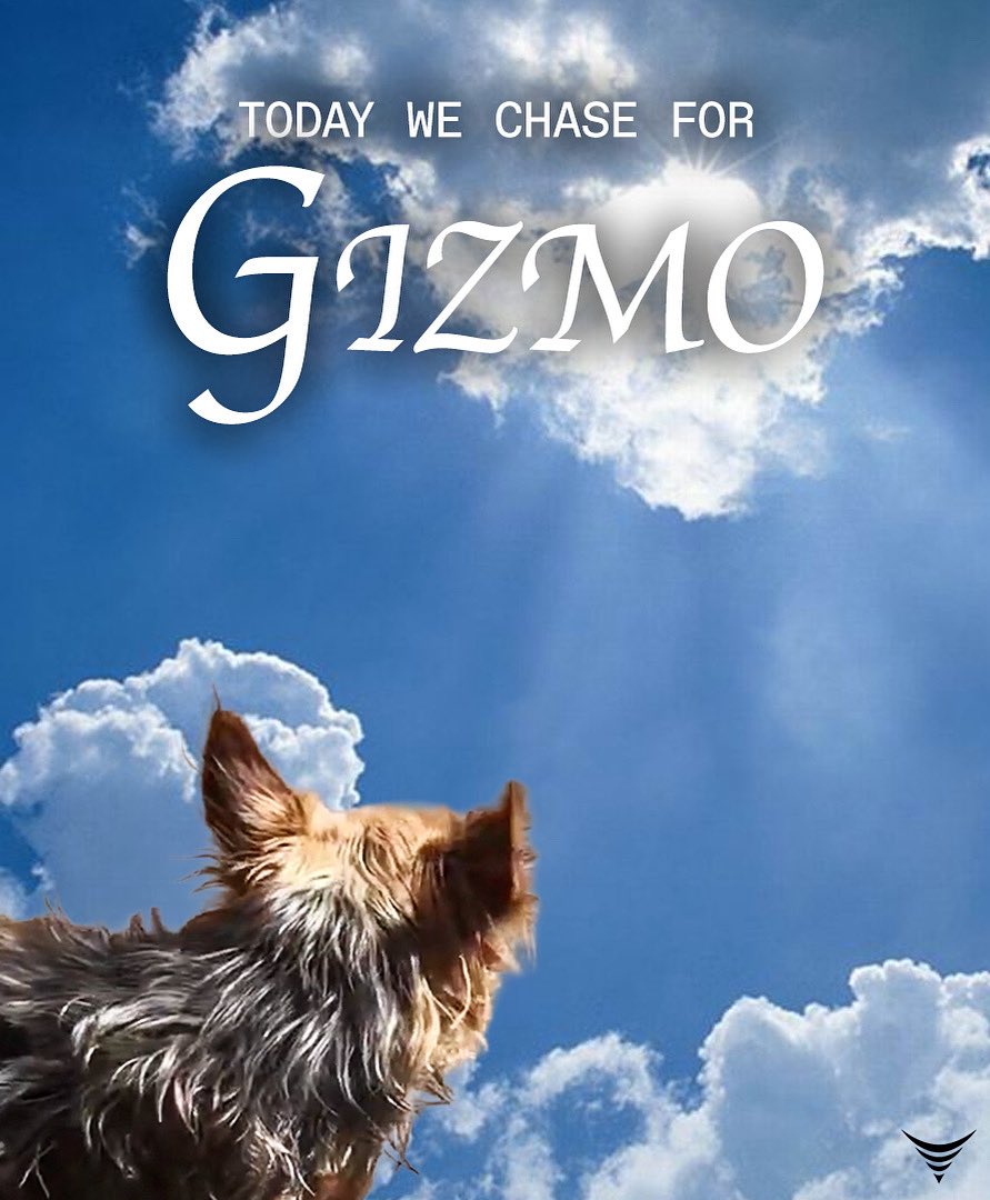 Reed Timmer, PhD tweet media