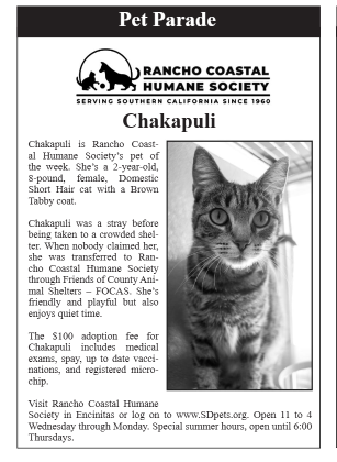 My dog has "A" flea. Not fleas. That's the Critter Corner. The wreck of the Edmund Fitzgerald on the cover. And Rancho Coastal Humane Society's pet of the week, Chakapuli, in the latest issue of The Paper. Please Share. issuu.com/thepaper01/doc…