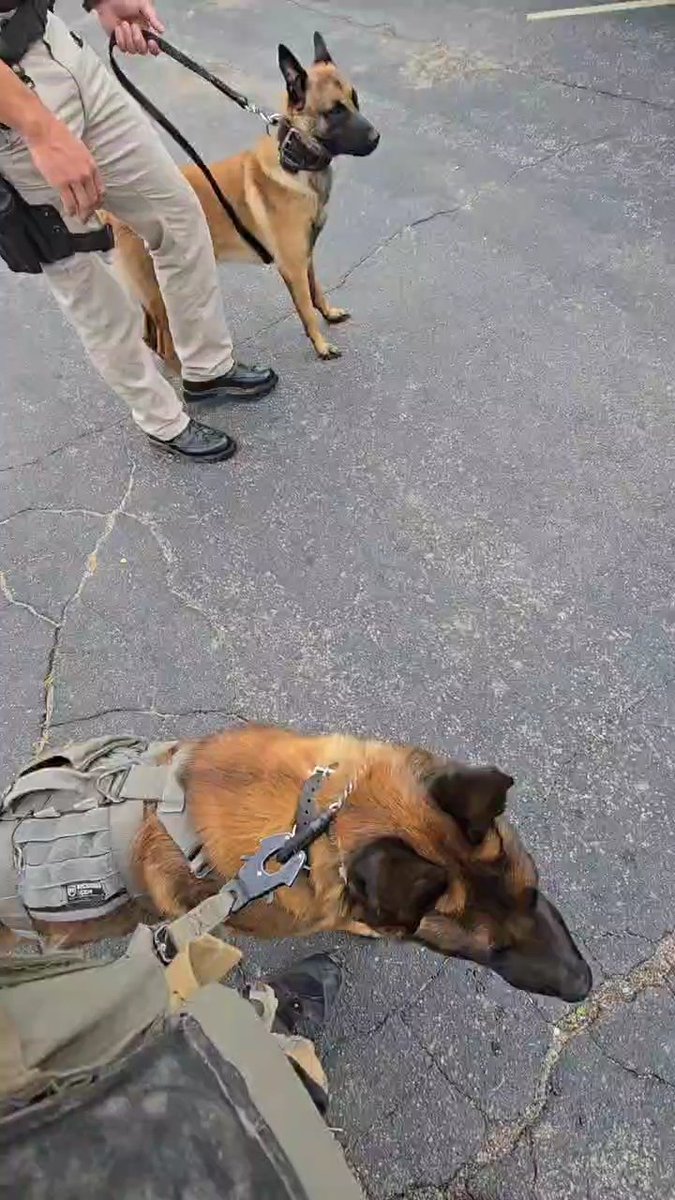 Inter-Agency relations is a critical component to the mission of a safe and secure Nebraska. PSD Tilt and PSD Onyx of <a href="/LSOnebraska/">Lancaster County Sheriff</a> work together regularly to help further this mission