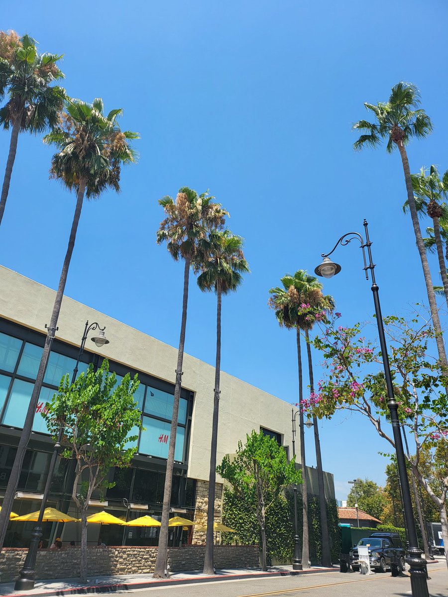 Went to an LA restaurant and I heard Linkin Park songs as the idle music lmfao 

I. AM. HOME.