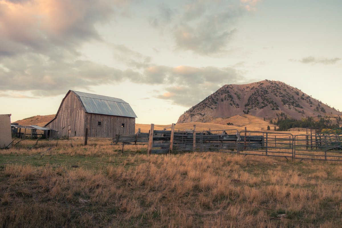 baker_vp's tweet photo. Bear Butte South Dakota 📍

#photograghy #landscapephotography https://t.co/8iEin7UXWh