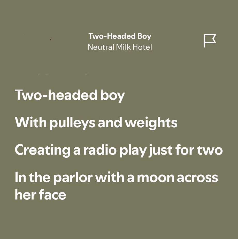 A piece media that mentions pulleys! This quote is from the song “Two-Headed Boy”, by Neutral Milk Hotel.
A song and a poem really are two sides of the same coin (or two heads on the same boy, in this case🤷‍♀️)