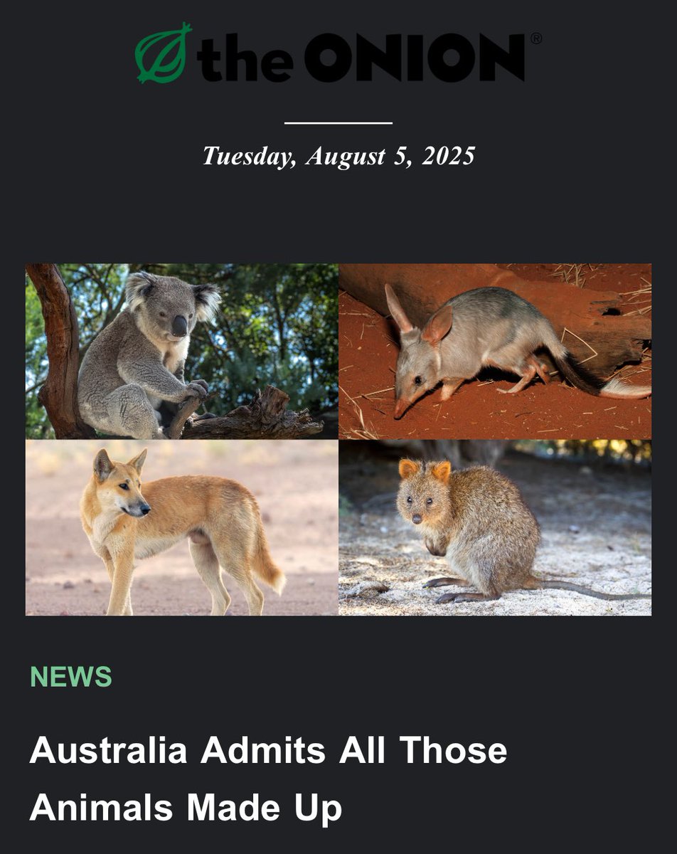 how could you do this to me ⁦<a href="/oneunderscore__/">follow @bencollins on bluesky</a>⁩