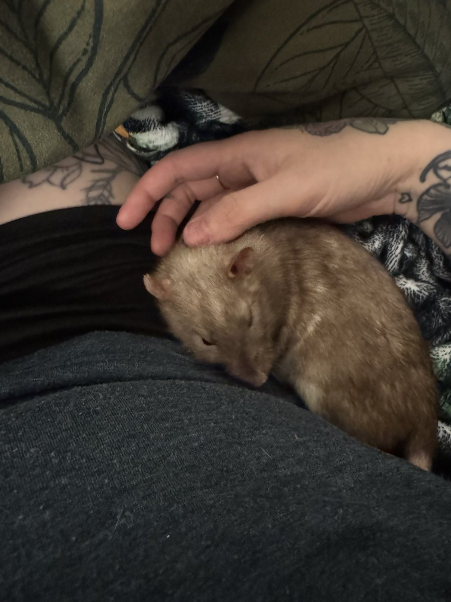 Man this is the 3rd time this week I’ve been unwell and in bed 😭