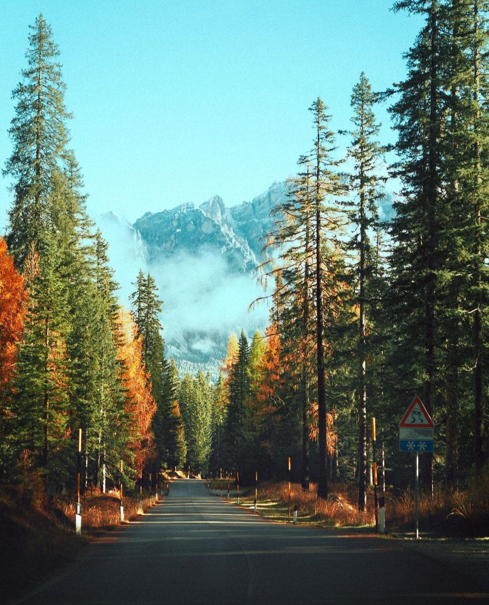 earthcurated's tweet image. Changing seasons in the Dolomites 🍃🍂