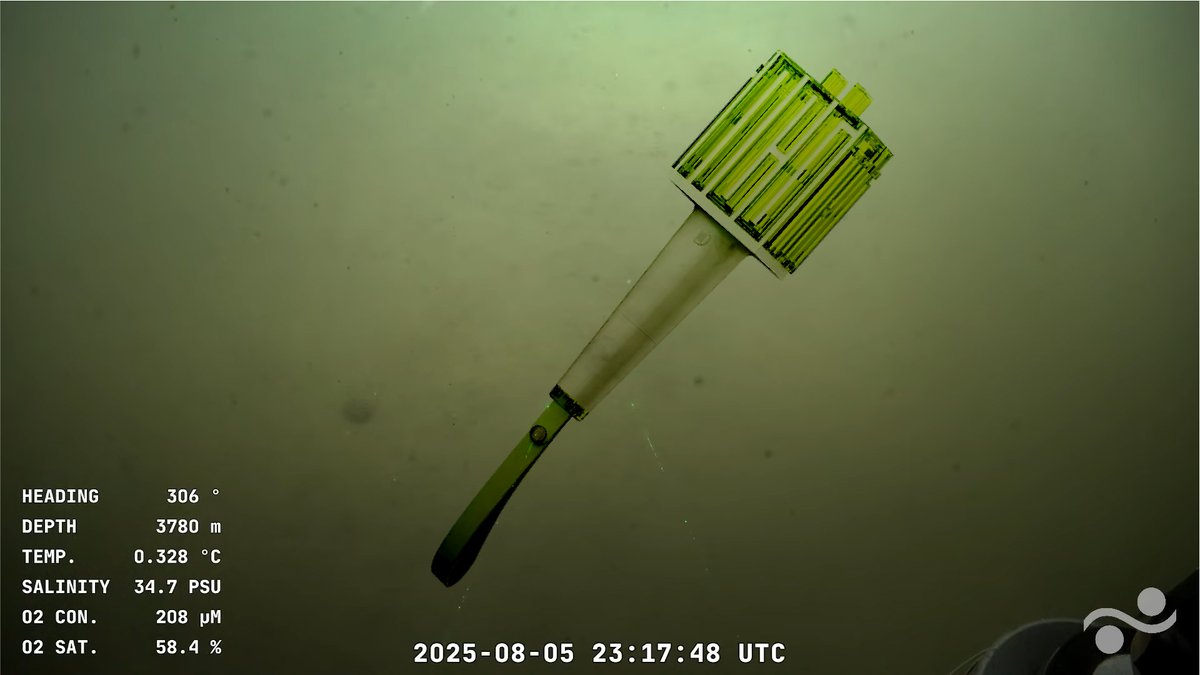 Estoy viendo el stream del conicet y apareció este bicho, alguno sabe qué especie es?

THE DREAM SHOW 4 EN ARGENTINA   #TDS4inARGENTINA

<a href="/dfallaccess/">DF Entertainment</a>
<a href="/MovistarArenaAR/">MovistarArenaAR</a>
<a href="/livenationlatam/">Live Nation Latin America</a>
<a href="/SMTOWNGLOBAL/">SMTOWN</a>