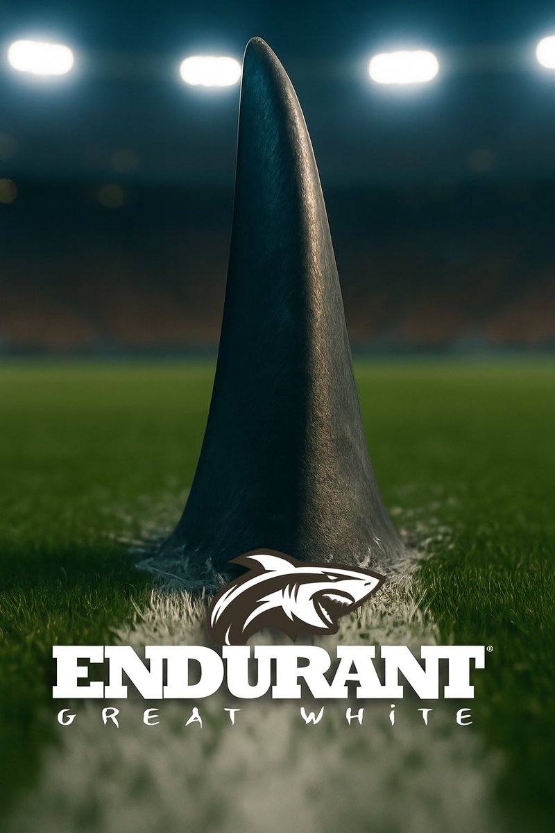 endurantpaint's tweet image. 