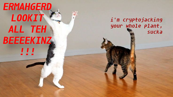 I think the tabby is shopping for some darkweb ambien gummy bears...
#PvJCTF #BSidesLV