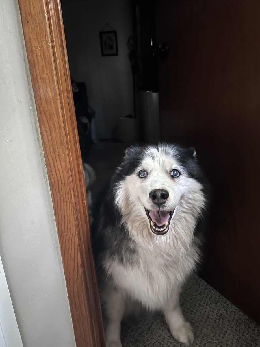 Stinky old lady Nadia!