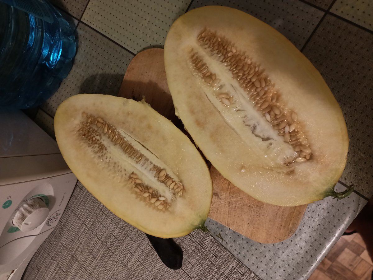 У такі моменти розумію, що маю кінк на аромат дині 😮‍💨🍈