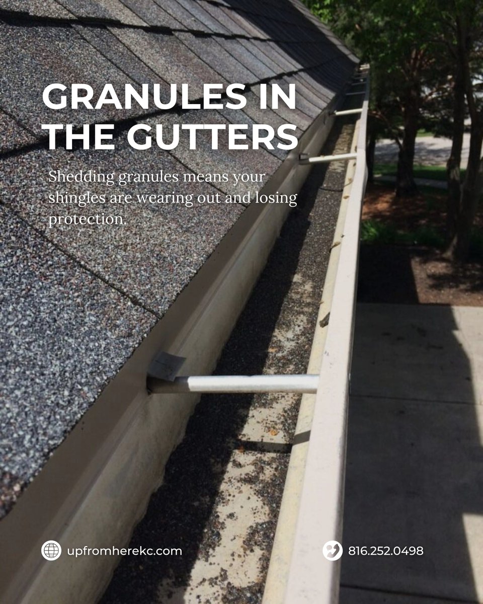 upfromherekc's tweet photo. Noticing shingle pieces in your gutters? Or mysterious water stains on your ceiling? 🧐

These warning signs could mean it’s time for a repair—or a full replacement!

Don’t wait for a bigger problem. Book your FREE roof check today! https://t.co/2AEyGbxWb7