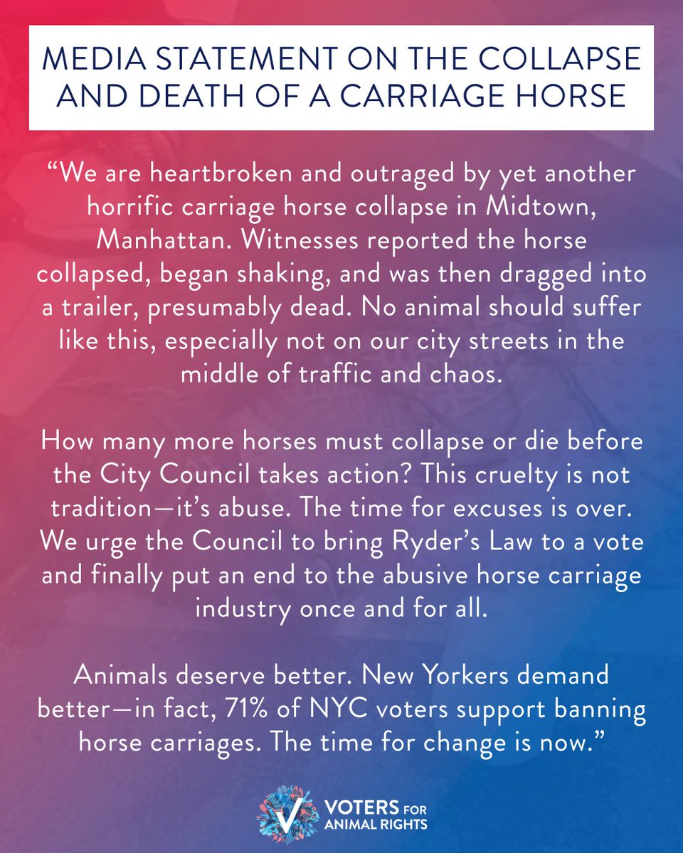 MEDIA STATEMENT ON TODAY'S HORSE CARRIAGE COLLAPSE 🚨💔

At around 3 PM, Lady—a 15-year-old carriage horse—collapsed and died in Midtown. She was in the City for less than two months. #BanHorseCarriages 

Allie Taylor, President of Voters For Animal Rights, said in a statement: