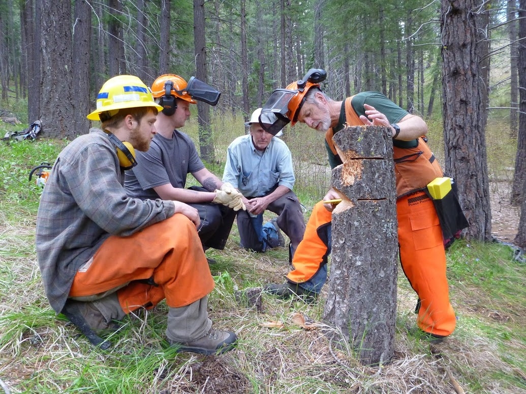 If land management for your profession or home property includes using a chainsaw, you may be interested in the SAWW Chainsaw Trainings held at Riveredge! Start with Level 1, next offered on August 20 8am-4pm. Sign up here: riveredgenaturecenter.org/event/saww-lev…