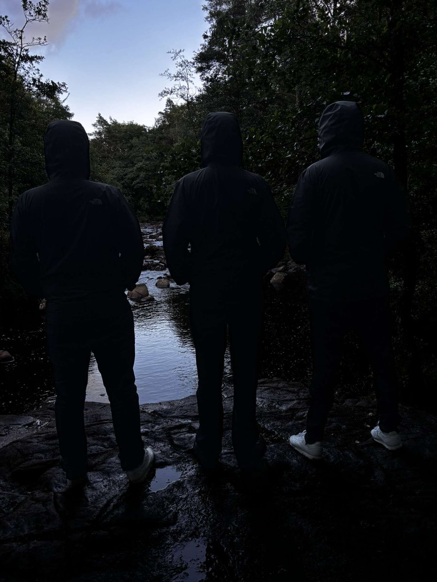 Halländska skogar❤