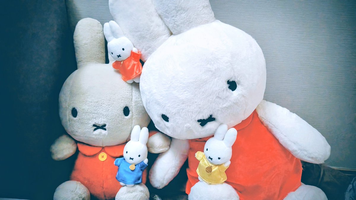 【プラフ必読ry☺︎】 みふ (@323fmif) / X