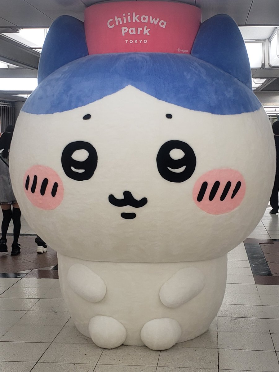 ルーチャン (@irDIC8lS9Z3r36a) / Posts / X