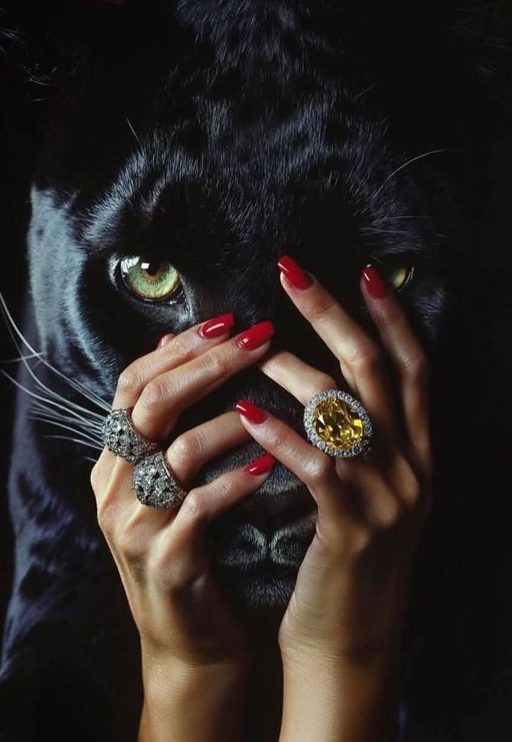 REX (@rexchillect) on Twitter photo 