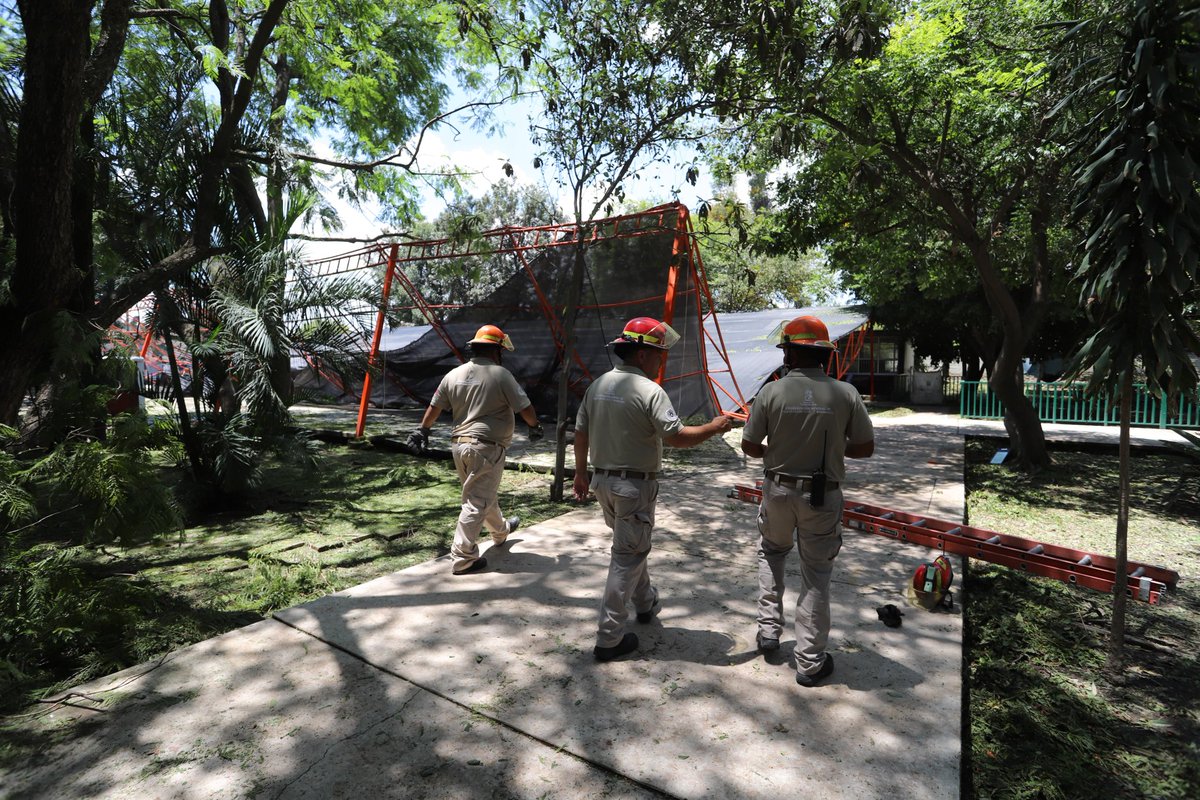 🚨 Se reportó el colapso de un domo en la Secundaria #58 en Toluquilla, tras la acumulación de granizo y ramas por la lluvia de anoche. No hubo lesionados.
El área de Gestión Integral de Riesgos realizará el dictamen técnico y se retirará la estructura para eliminar riesgos.