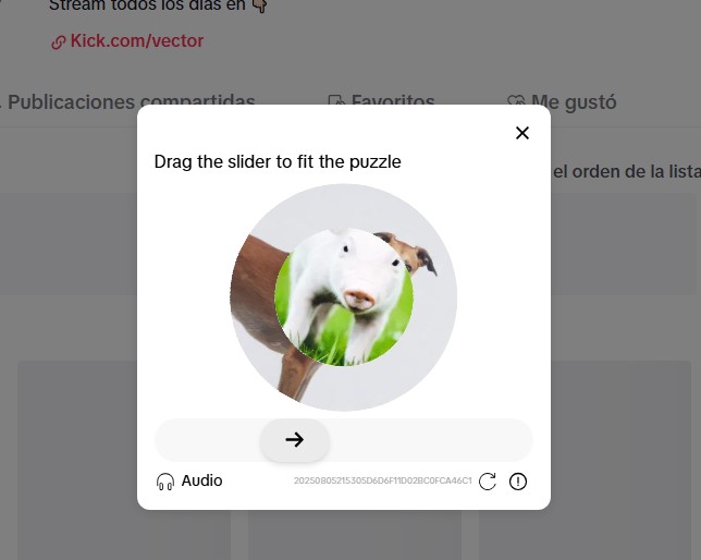 Buena tik tok con el captcha eh...