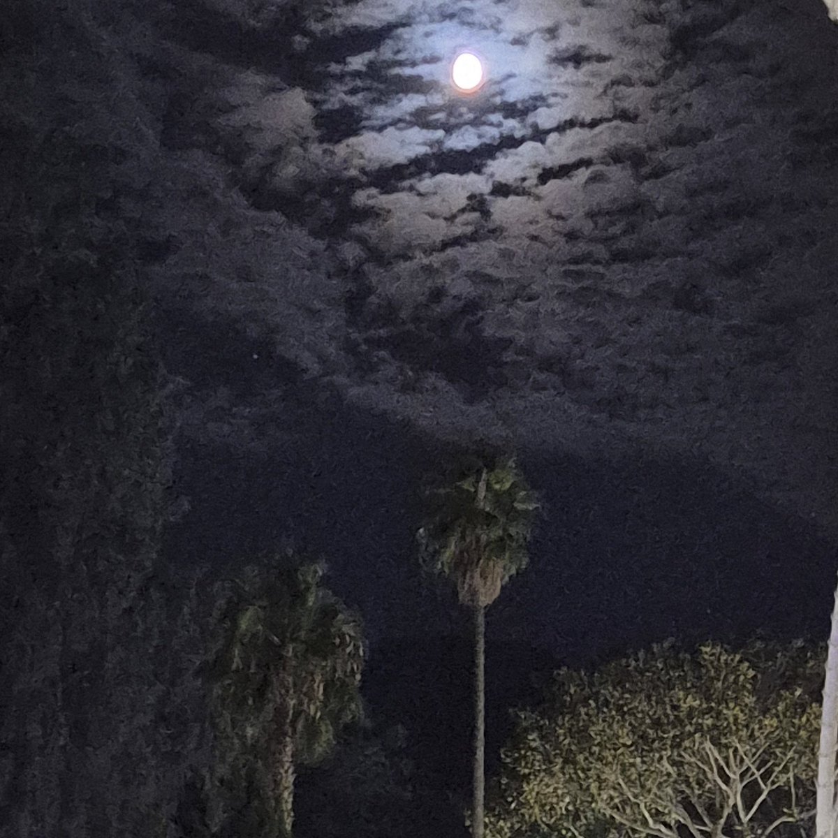 Sono qui, 
fai di me quel che vuoi
Fallo davvero

🌚🎶🖤