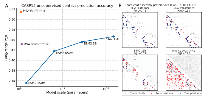Kevin K. Yang 楊凱筌 (@kevinkaichuang) on Twitter photo MSA Pairformer efficiently extracts structure, protein-protein interactions, and mutation effects from MSAs by decomposing the effects of phylogeny and structural contacts.
<a href="/yoakiyama/">Yo Akiyama</a> <a href="/ZhidianZ/">Zhidian Zhang</a> Milot Mirdita, Martin Steinegger, and <a href="/sokrypton/">Sergey Ovchinnikov</a> MSA Pairformer efficiently extracts structure, protein-protein interactions, and mutation effects from MSAs by decomposing the effects of phylogeny and structural contacts.
<a href="/yoakiyama/">Yo Akiyama</a> <a href="/ZhidianZ/">Zhidian Zhang</a> Milot Mirdita, Martin Steinegger, and <a href="/sokrypton/">Sergey Ovchinnikov</a>