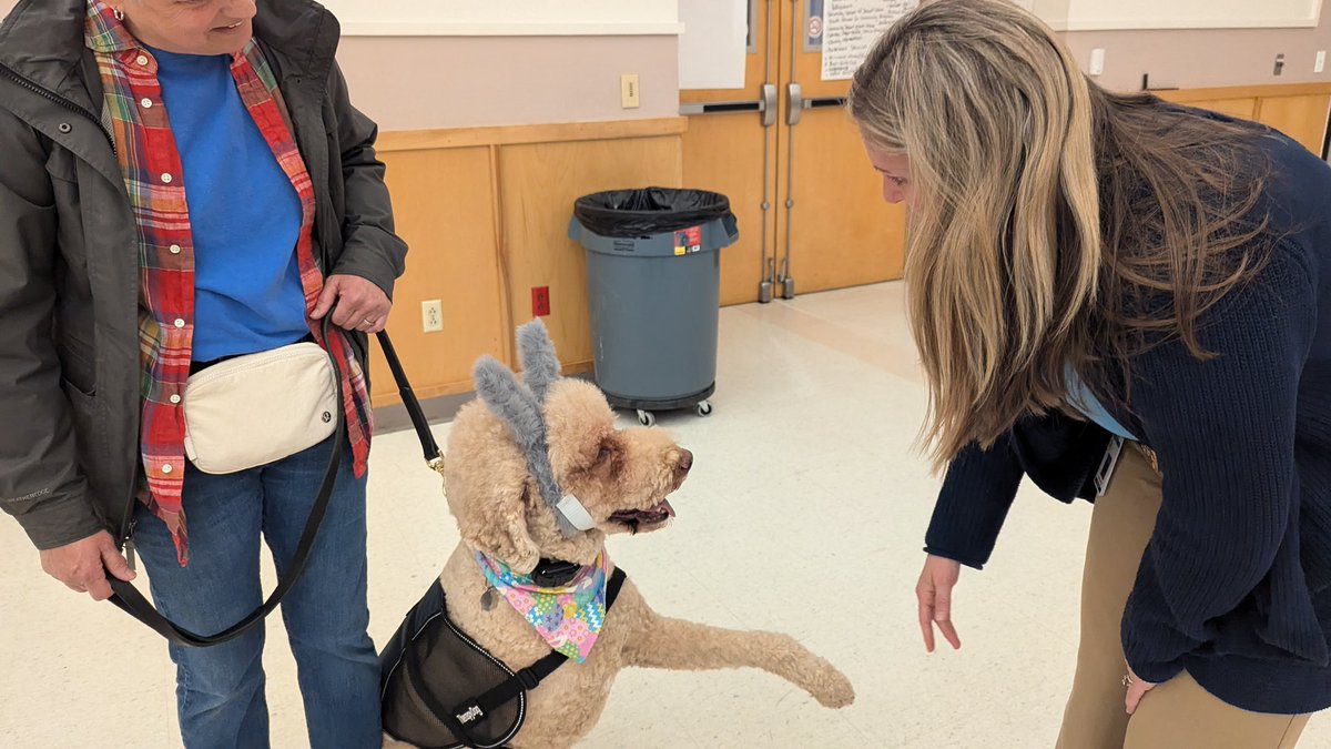 illinoiscourts's tweet photo. Court can be ruff, but courthouse dogs can help alleviate anxiety to ease the judicial process. Meet Charlie, a Golden Doodle who works at the Jackson County Courthouse. https://t.co/er0Wxlf16e #ILCourthouseCompanions https://t.co/4c1N6jcLg7
