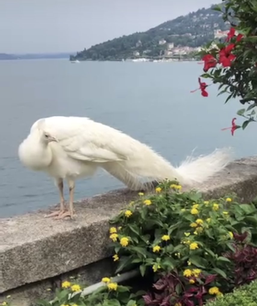 It seems like a smart a$$ had my account  locked... It is all good now. If you see me, please say "hi"☺️