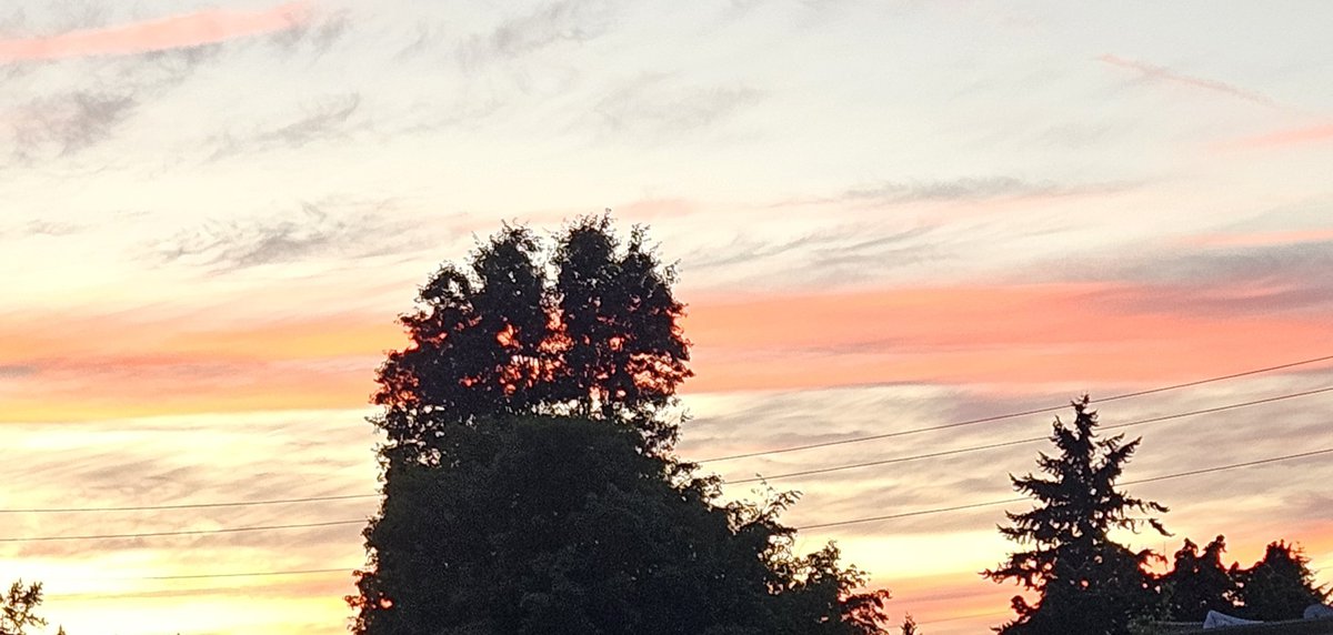Post a picture YOU took, no description
